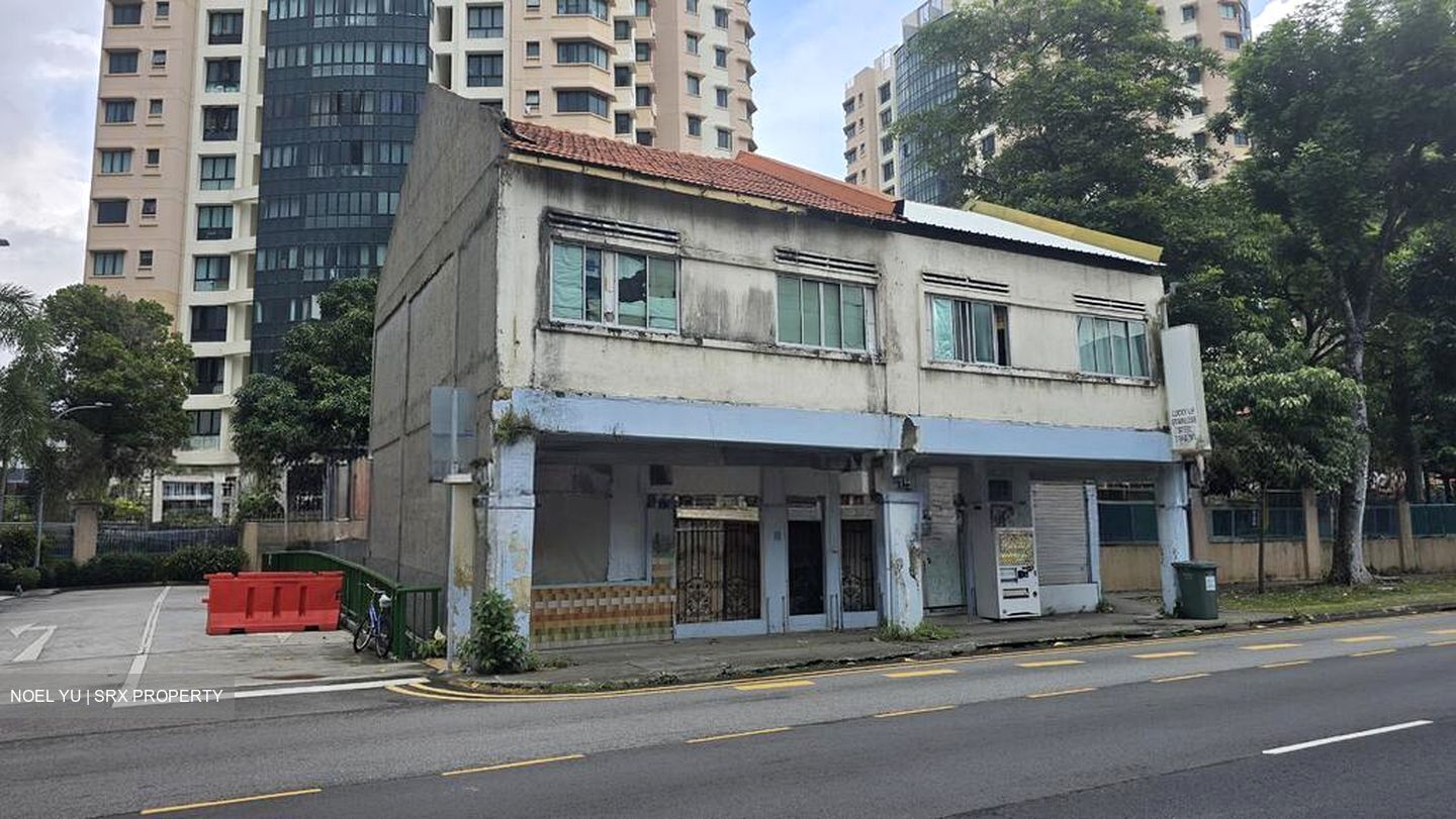 The Treeline (D15), Shop House #593885521